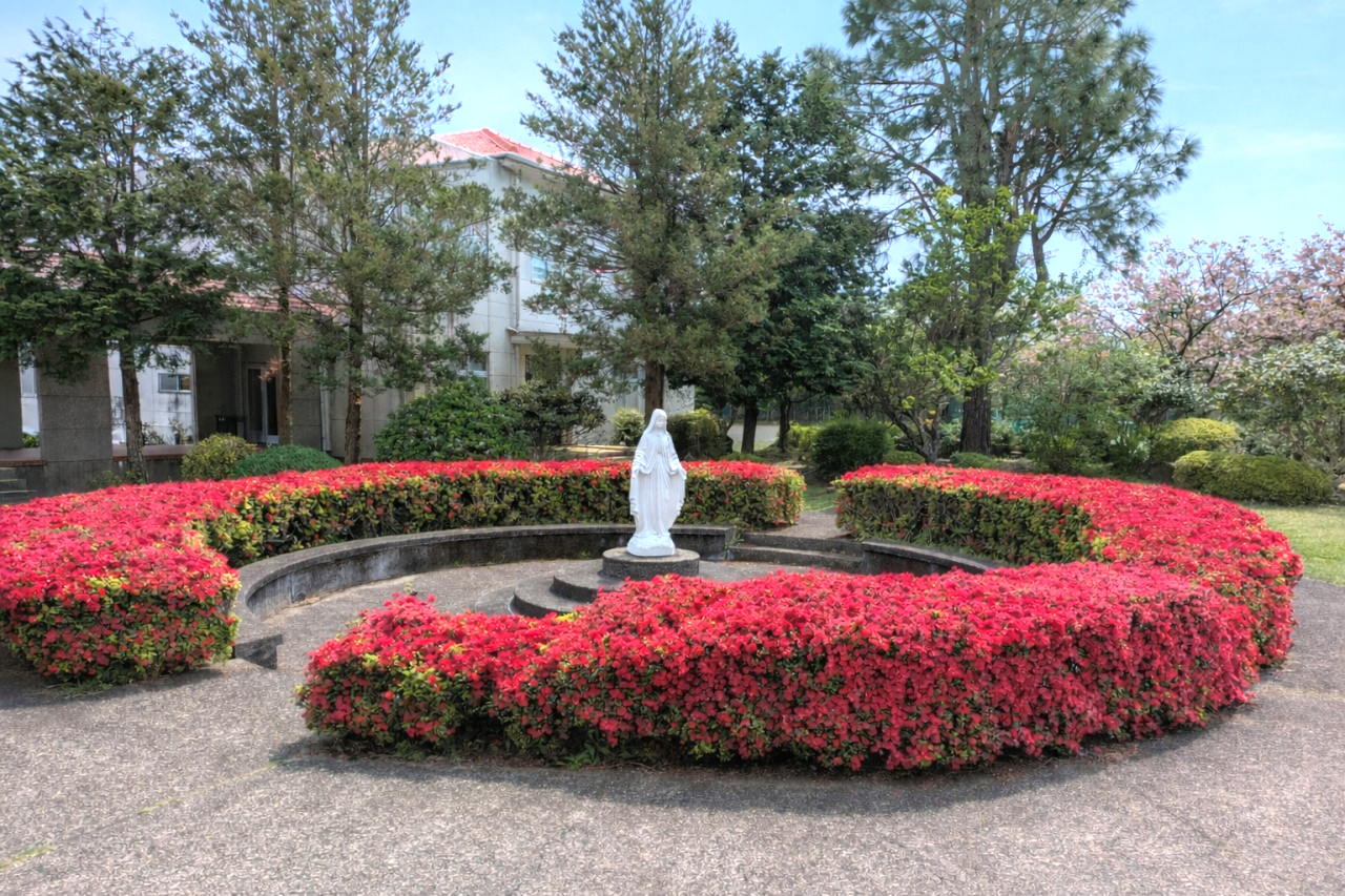 ④ホームページ