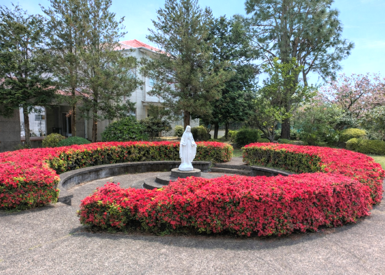 ④ホームページ(7対５）